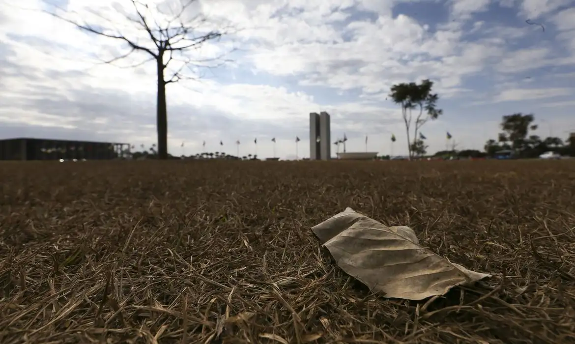 Aquecimento além de 1,5°C ameaça saúde, agricultura e economia